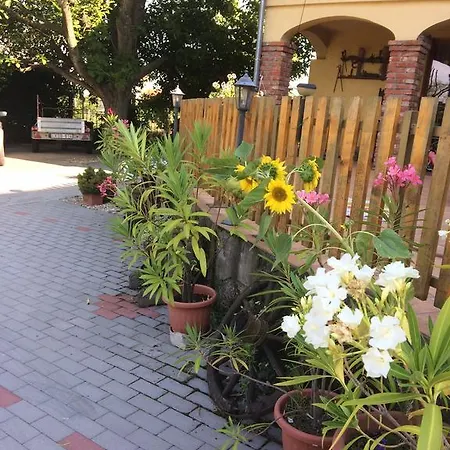 아파트 Mozsi Apartman *